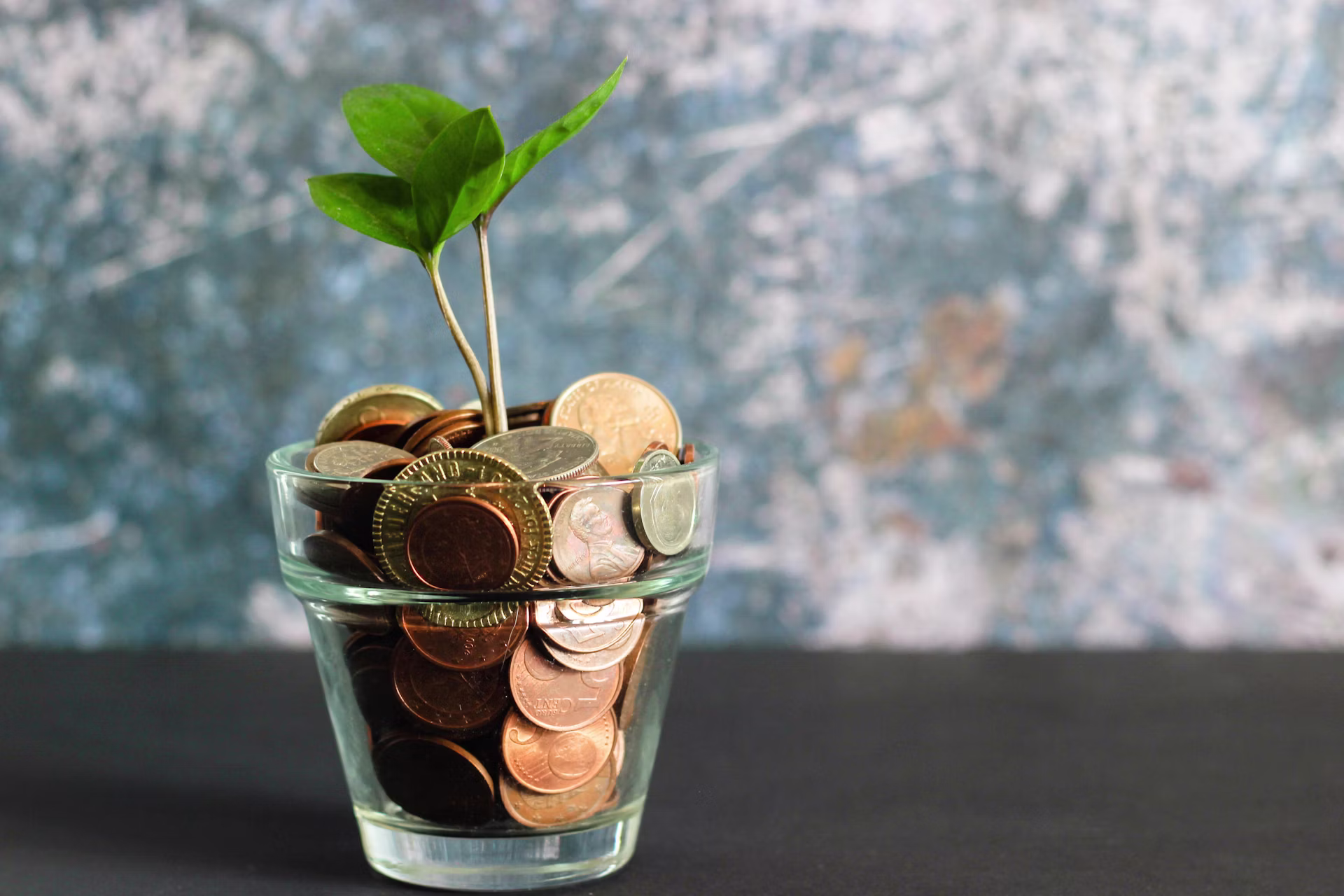 Coins jar